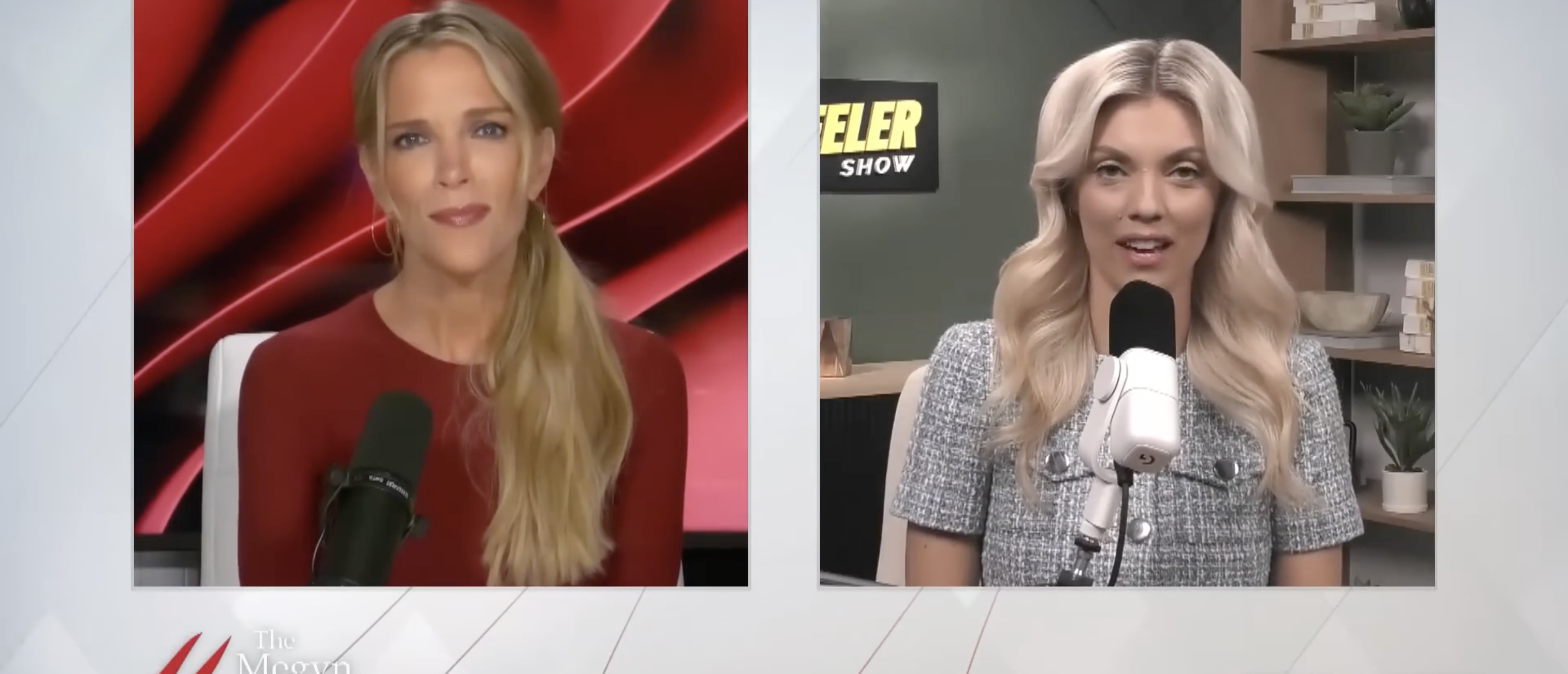 ‘People Feel Stung’: Liz Wheeler Tells Megyn Kelly What Motivates Pam Bondi